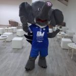 Mascotte aziendali personalizzate